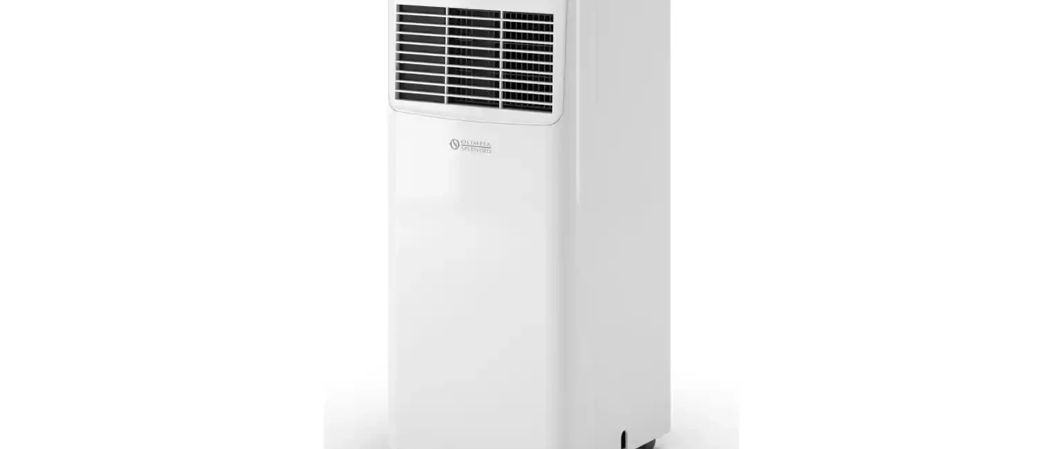 Olimpia Splendid Dolceclima 12 HP WiFi : fiche technique, avis et prix 2026
