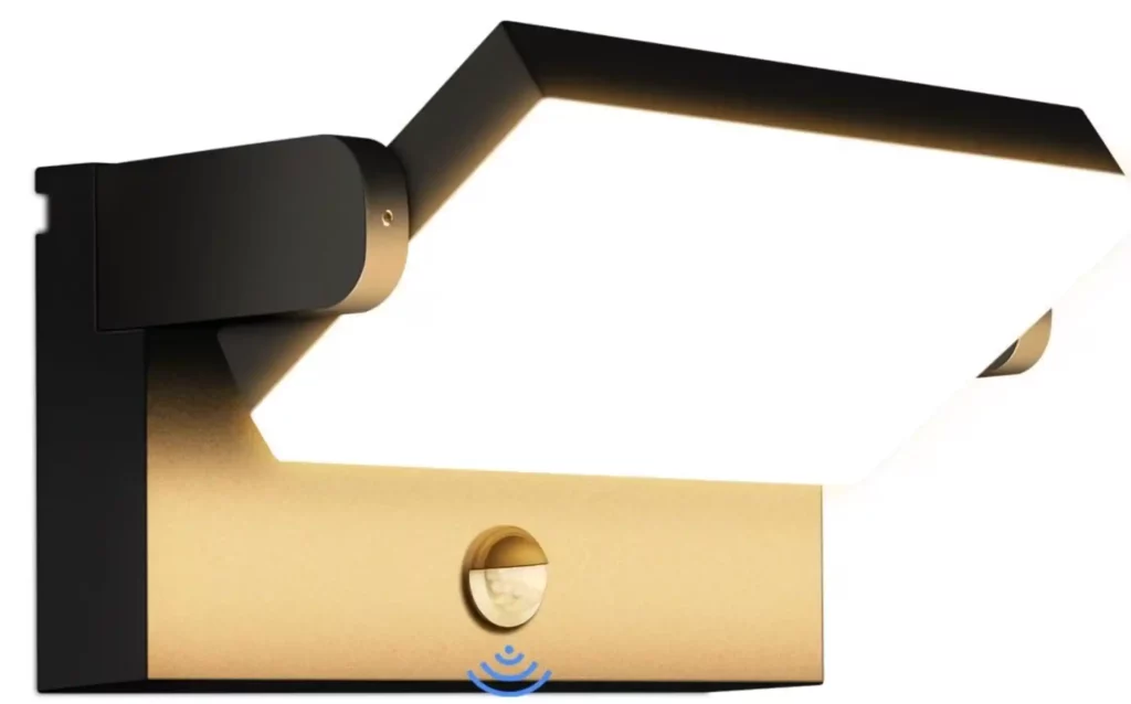 2. Ledmo 60W - La puissance pour les grandes surfaces